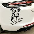 thumbnail image 3 of HEVIRGO Ban Stupid People Not Breed Pitbull Auto Car Styling Sticker Body Window Decal, 3 of 6