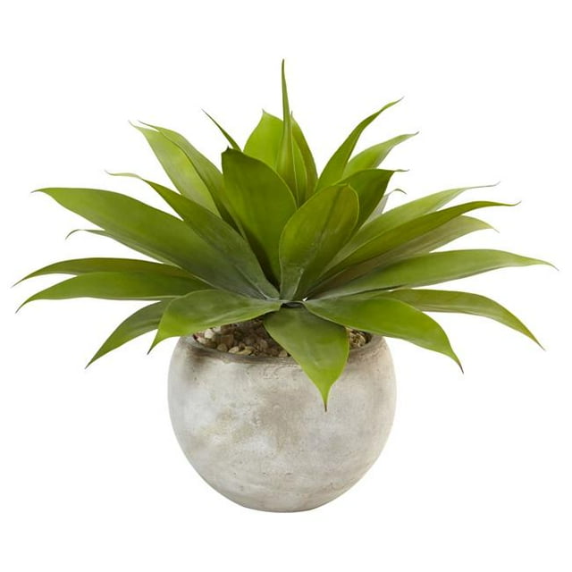 Agave dans un Bol de Couleur Sable