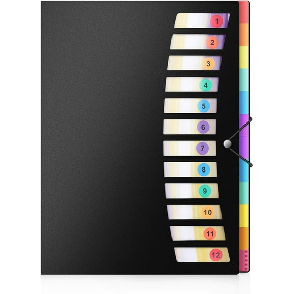 Professional Document Organizer, Accordion File Folder Organizer, Expandable Filing Box with 24 Pockets Letter Size A4, Water-Resistant Plastic, Large Capacity, Flexible Lid,