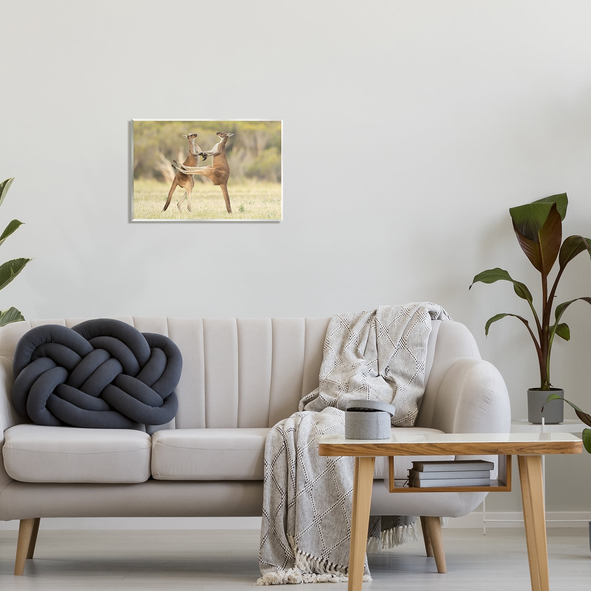 Stupell Industries Kangaroo Duo Photography Animals & Insects Photography Unframed Art Print Wall Art, 19 x 13