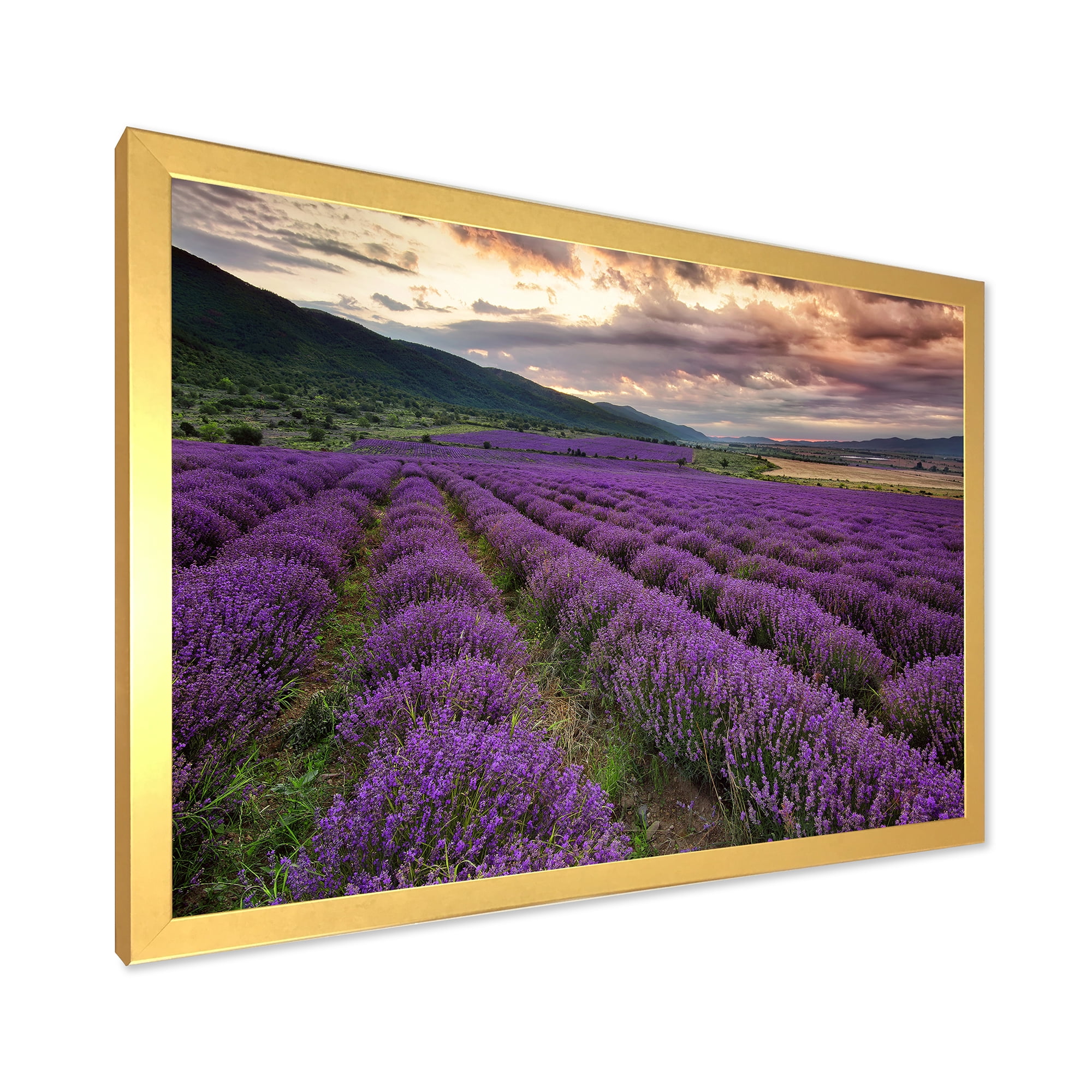 Designart 'Lavender Field At Sunrise I' Farmhouse Framed Art Print