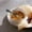 E E, variant on Iumwxz Spoons Stainless Steel Spoon with Short Handle Children'S Dining Spoon Ice Cream Spoon Tea Spoon Coffee Dessert Spoon Cutlery Set B Stainless Steel Rollbacks on Essentials
