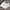 White, variant on Ediodpoh Fashion Four Seasons Children Sneakers Girls Flat Thick Bottom Non Lightweight Mesh Upper Breathable Comfortable Lace up Hook Loop Solid Color Casual Style Kids Shoes 13
