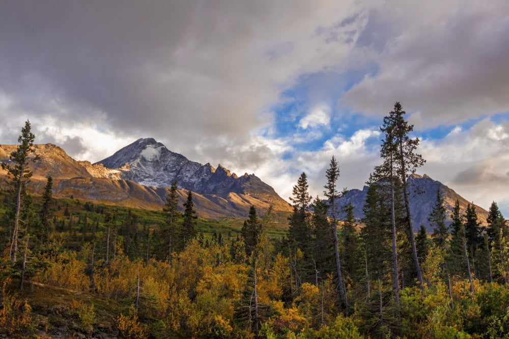 Mount Diamond in the Chugach Mountains and along the Richardson Highway with a light dusting of snow as the brush at its base is starting to change colour Valdez Alaska United States of America Canvas