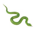 thumbnail image 1 of Trayknick Modèle de Serpent Faux Réaliste TPR Doux Serpent Vert Farce Effrayant Modèle Animal Réaliste Jouets Éducatifs pour Garçons Filles, 1 of 13