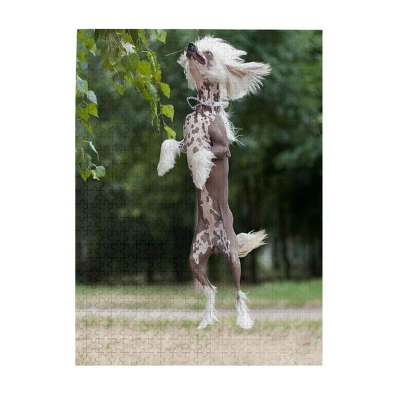 500-Piece Wooden Jigsaw Puzzle for Adults - Chinese Crested Playful Jump , Fun & Relaxing Interlocking No-Dust Puzzle for Family, Home Decor & Holiday Gifts
