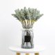 thumbnail image 4 of piezas de 32 cm de espiga de trigo de calidad, flores secas naturales, cola de conejo, caña de pampa, ramo seco, plantas de decoración para fiestas de bodas, 4 of 5