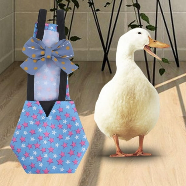 Pañal lavable Reutilizable Salvador para pollo Disfraz de Animal de granja