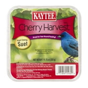 Kaytee Cherry Harvest Suet, 11.75 OZ