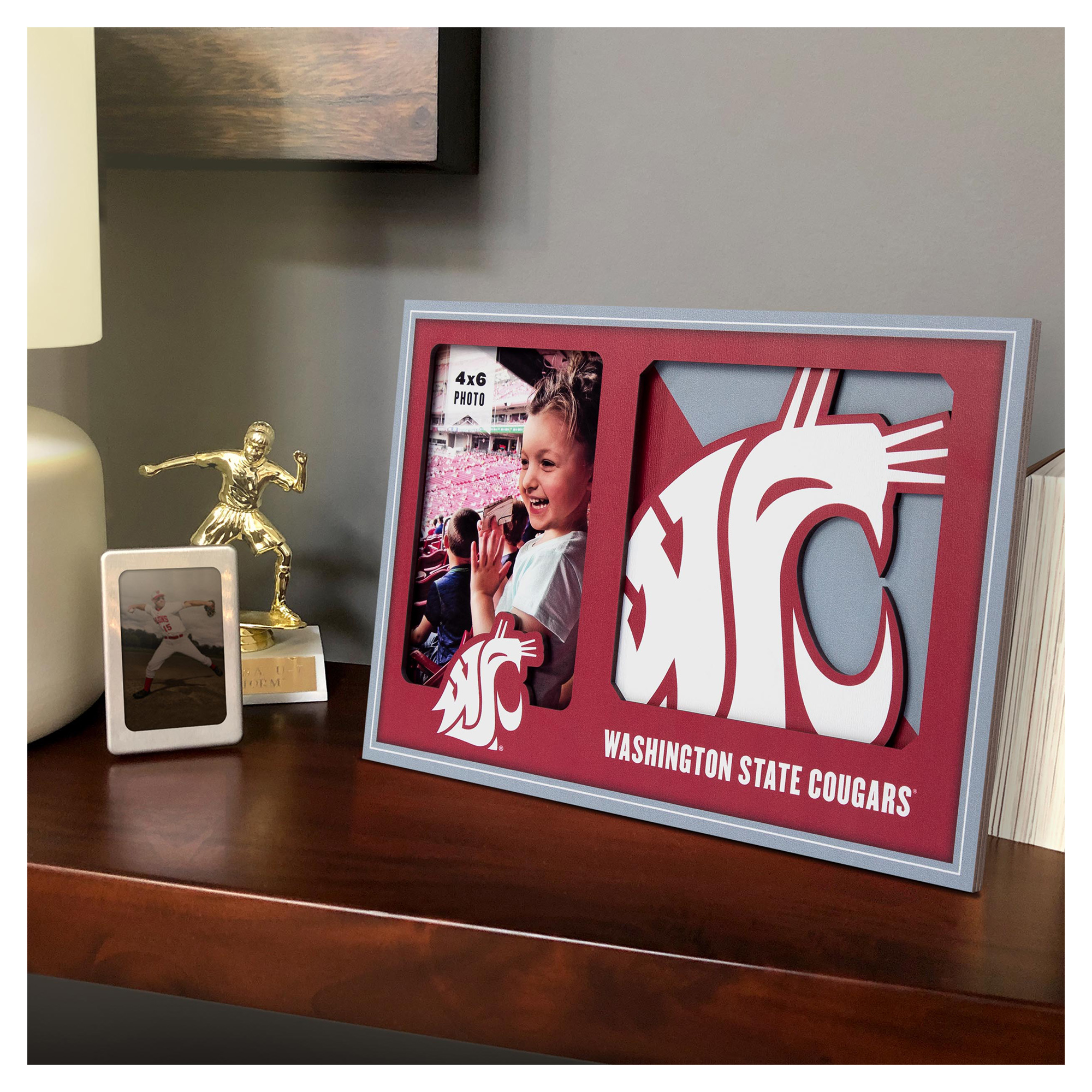 IDNA Washington State Cougars 3D Logo Series Picture Frame