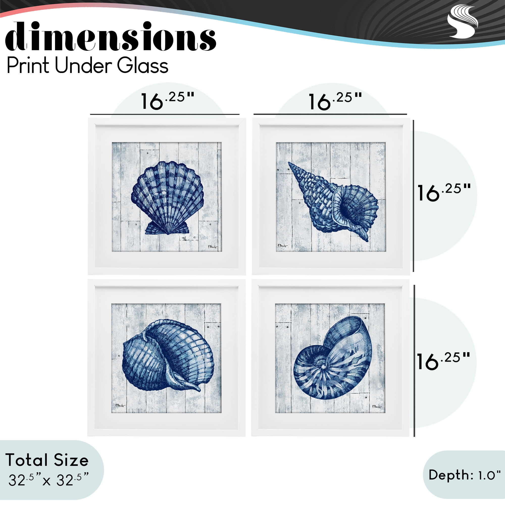 Stupell Industries Coastal Timberland Seashells 4 Piece White Framed Print Under Glass Set, design by Paul Brent