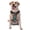 With Accessories, variant on Vsdgher Flower White Dolphin Pattern Dog Harness,No Pull Pet Harness with Soft Padded Handle,Adjustable Reflective Vest with 2 Buckles,4 Slide Buckles,S-XL Large