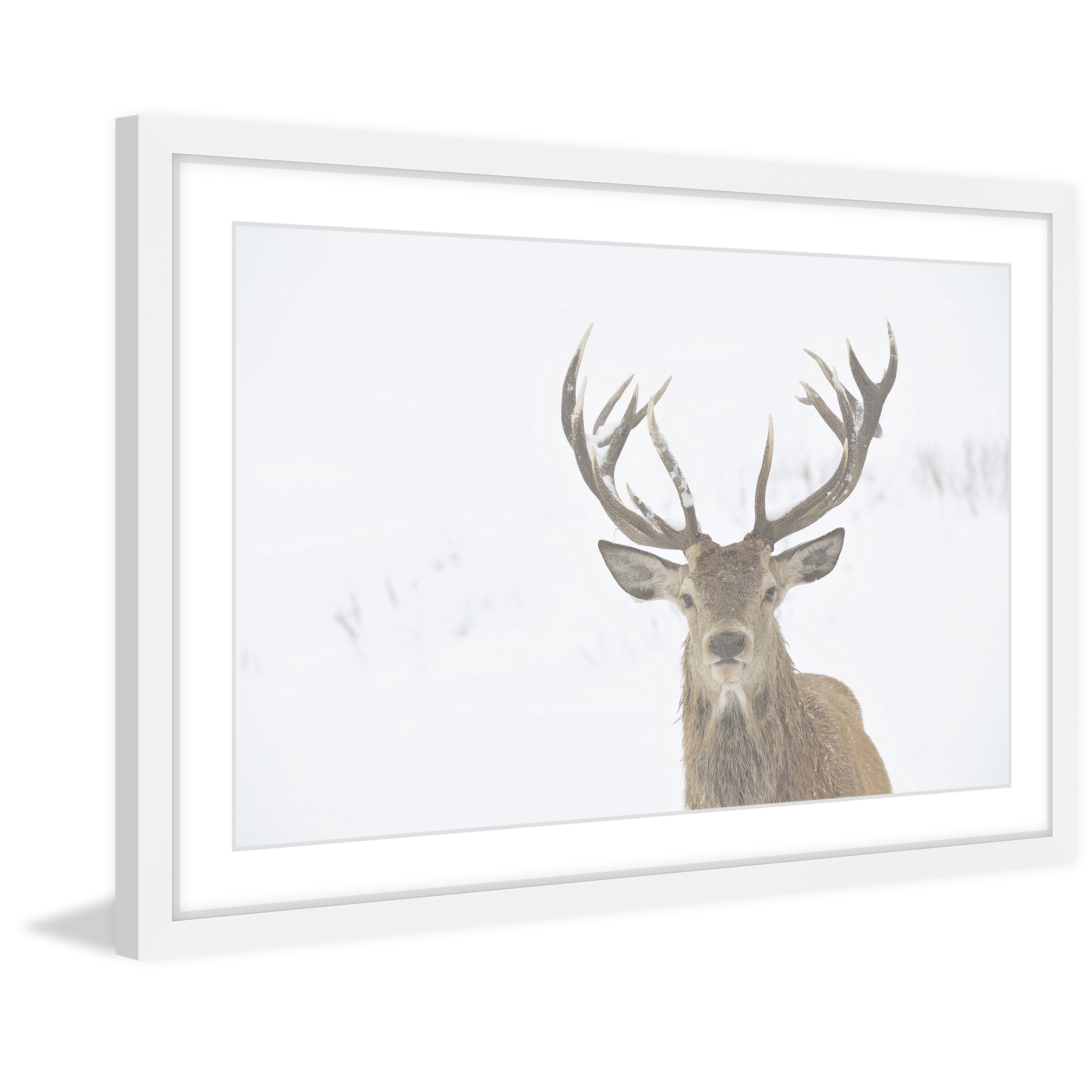 Marmont Hill "Buck Stare" Framed Painting Art Print