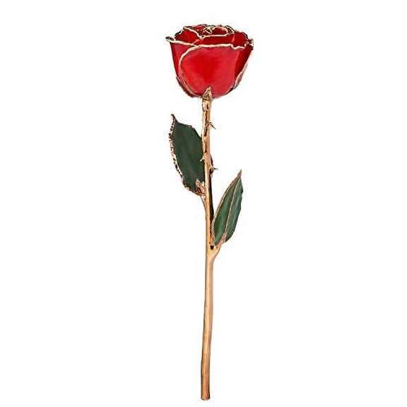 Forever Rose, a Genuine, One of a Kind, Real Red Rose, Hand Dipped in Lacquer and Trimmed in 24K Gold