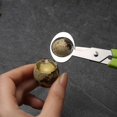 thumbnail image 5 of NETSENG Quail Egg Scissors, Stainless Steel Quail Egg Scissors, Small Egg Scissors, Quail Egg Opening Scissors, Stainless Steel Egg(2pcs, Green), 5 of 5