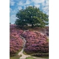 thumbnail image 2 of Van de Goor, Lars 17x24 Gold Ornate Wood Framed with Double Matting Museum Art Print Titled - Purple Heath, 2 of 4
