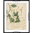 thumbnail image 5 of Art.com Herb Study V Art Print by Grace Popp, Black Frame Wall Art, 23" x 29", 5 of 5