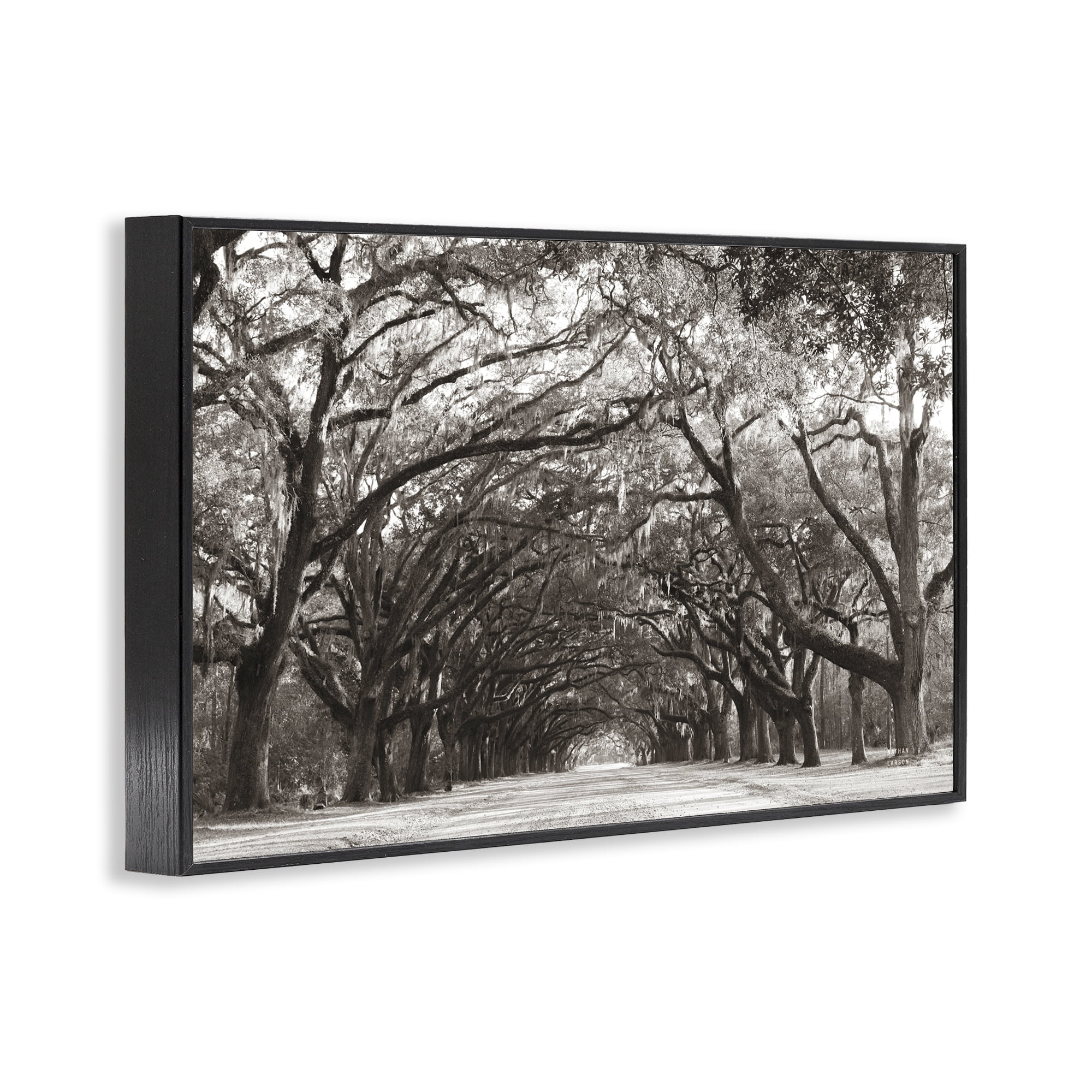 Stupell Industries Georgia Stroll Tree Tunnel Black Framed Giclee Art, design by Nathan Larson