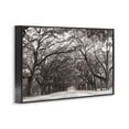thumbnail image 2 of Stupell Industries Traditional Georgia Stroll Tree Tunnel Black Framed Giclee Art, 18 x 12, by Nathan Larson, 2 of 6
