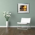 thumbnail image 3 of Trademark Fine Art 'Sea Foam In The Sunlight' Canvas Art by PIPA Fine Art, White Matte, Silver Frame, 3 of 4