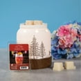 thumbnail image 4 of ScentSationals, Scented Wax Cubes - Tiki Time, 4 of 4