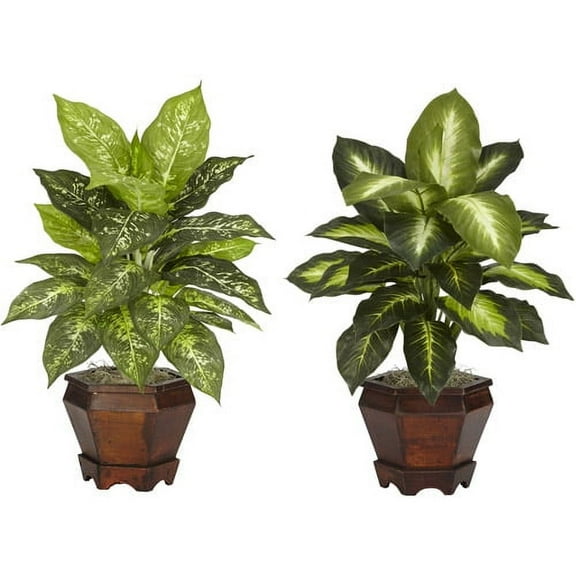Nearly Natural 20.5" Dieffenbachia with Wood Vase Artificial Plant (Set of 2), Multicolor