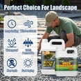 thumbnail image 3 of 35oz Heavy-Duty Non-Toxic Landscape Glue | Professional Gravel Binder for Pea Gravel, Stones, Bark & Wood Chips | Soil Erosion Stabilizer for Garden Paths, Patios & Driveways, 3 of 7
