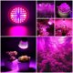 thumbnail image 2 of Lámpara De Crecimiento De Plantas Fit Standard E27 Socket Plant Grow Light, Grow Light, Para Flores Sistemas Hidropónicos Cultivo De Vegetales De Crecimiento Oscuro En Interiores, 2 of 8