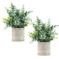 thumbnail image 1 of Coferset Paquete de 2 pequeñas plantas artificiales de eucalipto en maceta para estante, escritorio, hogar, baño, granja, habitación, mesa de café, decoración (verde salvia), 1 of 7