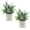 Sage Green-small, variant on NexTone 2 Pack Small Fake Plants Eucalyptus Potted Artificial Plants for Shelf Desk Home Bathroom Farmhouse Room Coffee Table Decor (Sage Green)