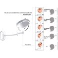 Wall Mount LED Lighted Makeup Magnifying Cosmetic 360° Swivel