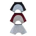 thumbnail image 2 of Incontinences Underwear for Men Washable Soft Leak Proof Boxers Briefs for Daily Bladder Leakage Men Urinary Panties, 2 of 13