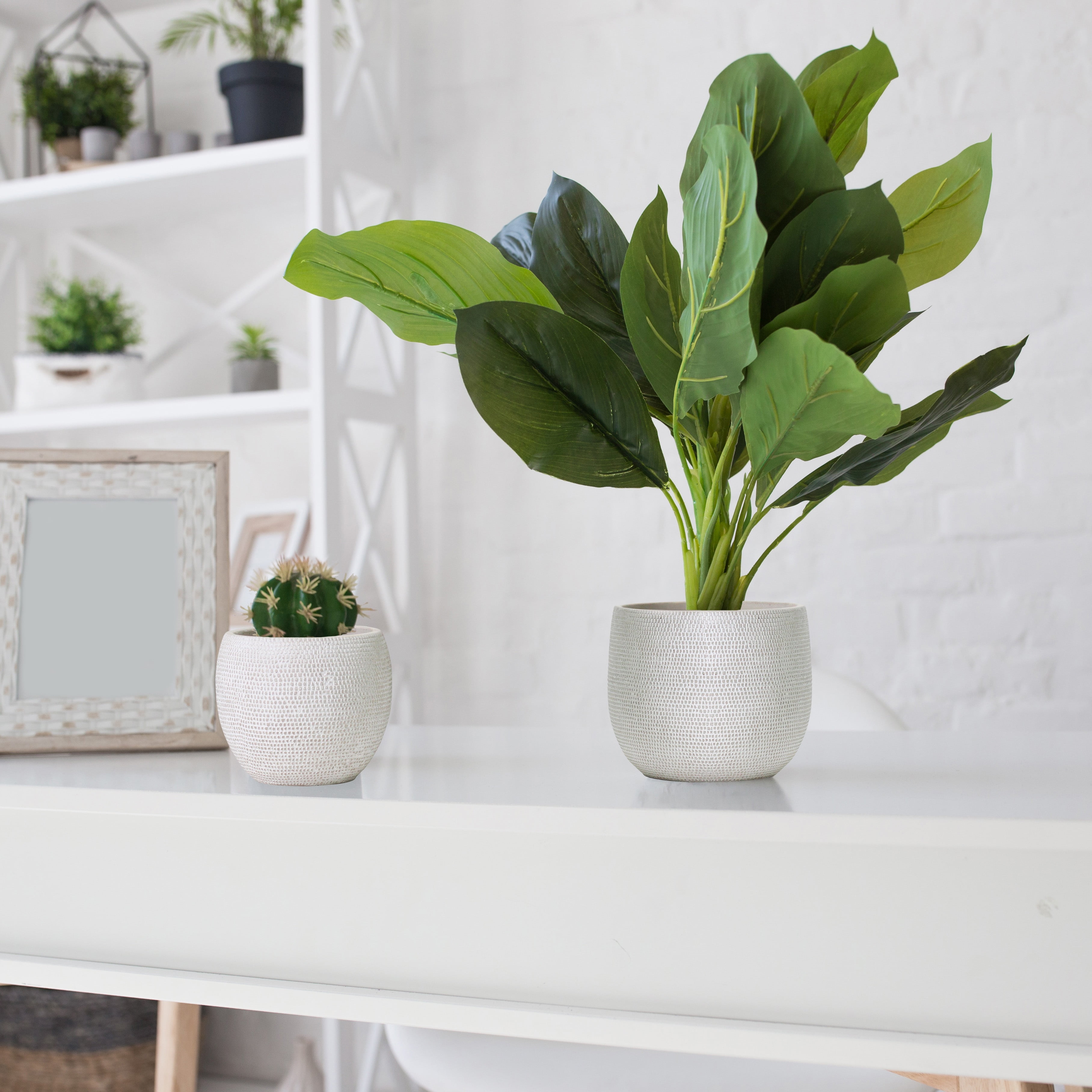 Olly & Rose Barcelona Ceramic Plant Pot Set 2 - Indoor & Outdoor Planters for Indoors and Outdoor Flower Pots (White)