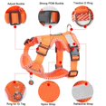 thumbnail image 3 of 4-point Adjustment Dog Harness and Leash Set for Small Dogs Reflective Mesh Dog Harness Vest Puppy Cat Chest Strap Pet Supplies ShopWise Round, 3 of 10