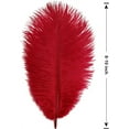 thumbnail image 2 of NOGIS 8-10 inch (20-25cm) Natural Ostrich Feathers for Wedding Centerpieces Home Decoration,Flower Arrangement,DIY Christmas Decorations Decoration (20pcs,Red), 2 of 7