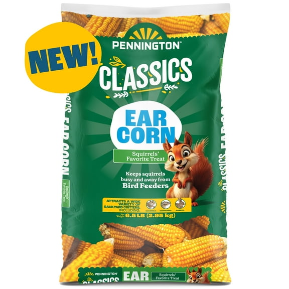 Pennington Classic Whole Ear Corn, Squirrel and Critter Feed, 6.5 lb. Bag, Dry, 1 Pack