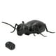 thumbnail image 3 of Juguetes para insectos, juguete para hormigas, control remoto por infrarrojos, insectos falsos, hormigas diseñadas para precisión, 3 of 14