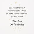 thumbnail image 3 of Hallmark VIDA Spanish-Language Birthday Card (A Day to Start Another Year), 3 of 6