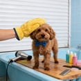 thumbnail image 4 of SIfdSeng Soft Coral Grooming for Cats and Absorbent Bathing Reusable Lightweight Design, 4 of 5