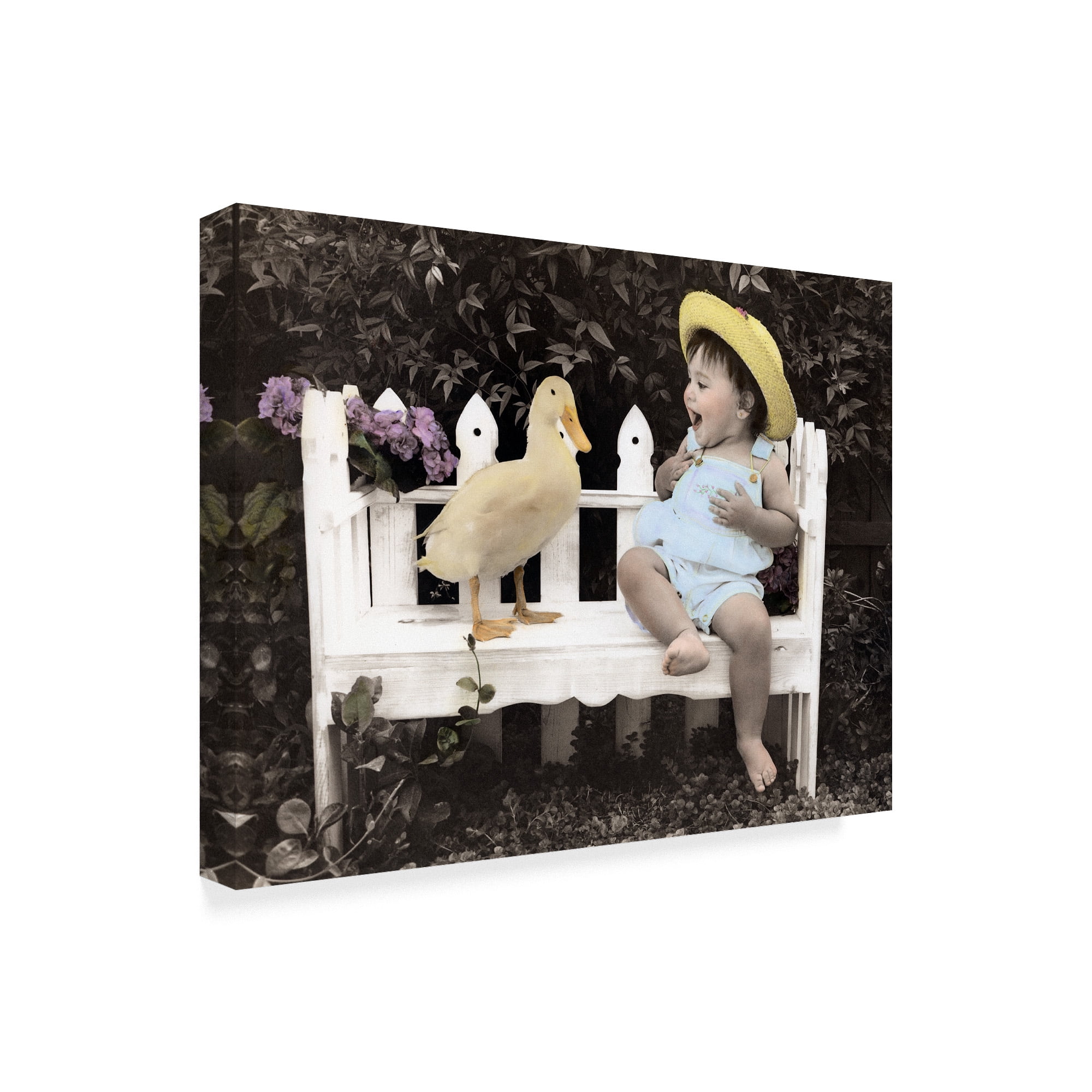 Trademark Fine Art 'Laugh It Up' Canvas Art by Sharon Forbes