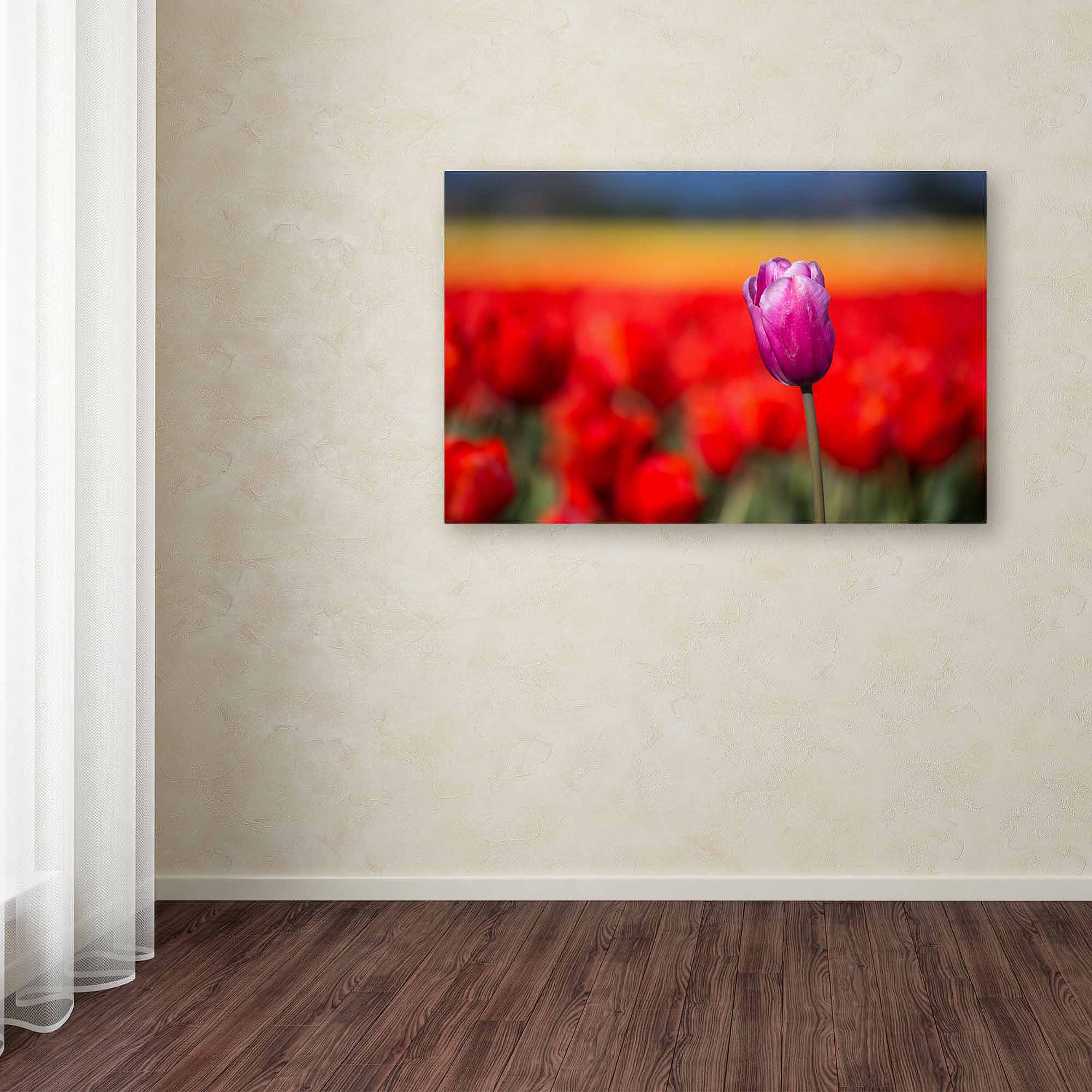 Trademark Fine Art "Purple Tulip" Canvas Art by Pierre Leclerc