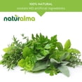 thumbnail image 4 of Suplemento Naturalma Oats (Avena Sativa) Tops Tincture 120 ml, 4 of 8