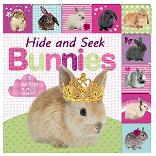 Pre-Owned Lift-the-Flap Tab: Hide and Seek Bunnies