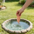 thumbnail image 4 of Bird Bath Plate Decorative Purification Plate with Support Points Natural All Weather Water Suitable for Outdoor Bird Bath Tubs and Bowls Multiple Choices, 4 of 4