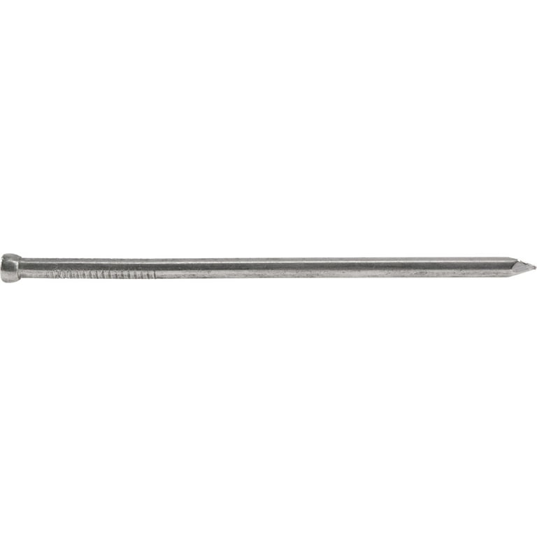 8d stainless deals steel nails