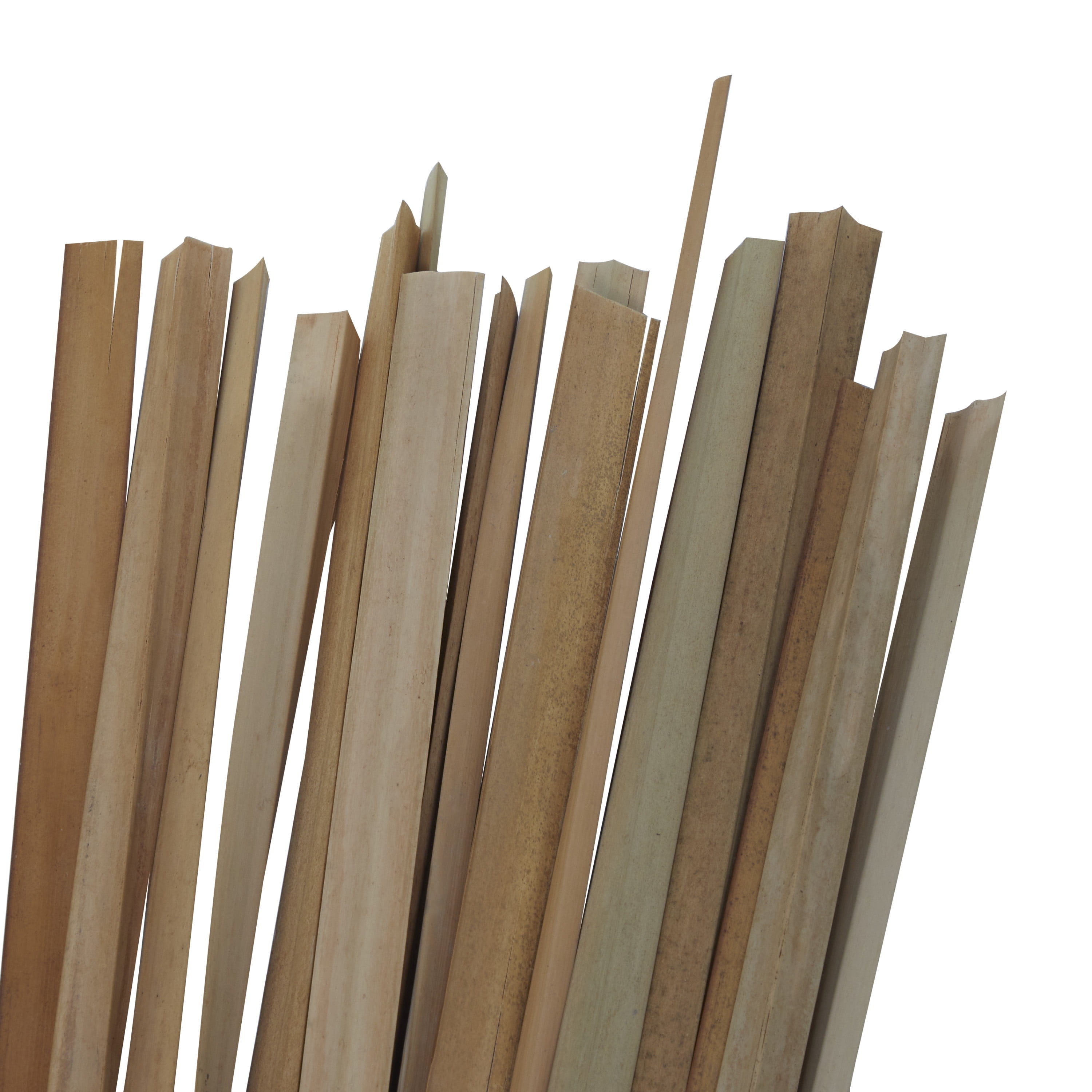 40" Dried Plant Natural Foliage Bouquet with Slender Stems, by DecMode
