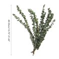 thumbnail image 3 of Yuarrent 10PCS / Bundle Ramo de hojas verdes Ramo de flores secas Flores reales secas al aire natural Ramas de flores secas Decoración de flores de boda Decoración del hogar 40-50cm Yuarrent HA039741-02, 3 of 6