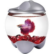 Aqua Culture 0.7-Gallon Betta Bubble Fish Bowl with LED Hood
