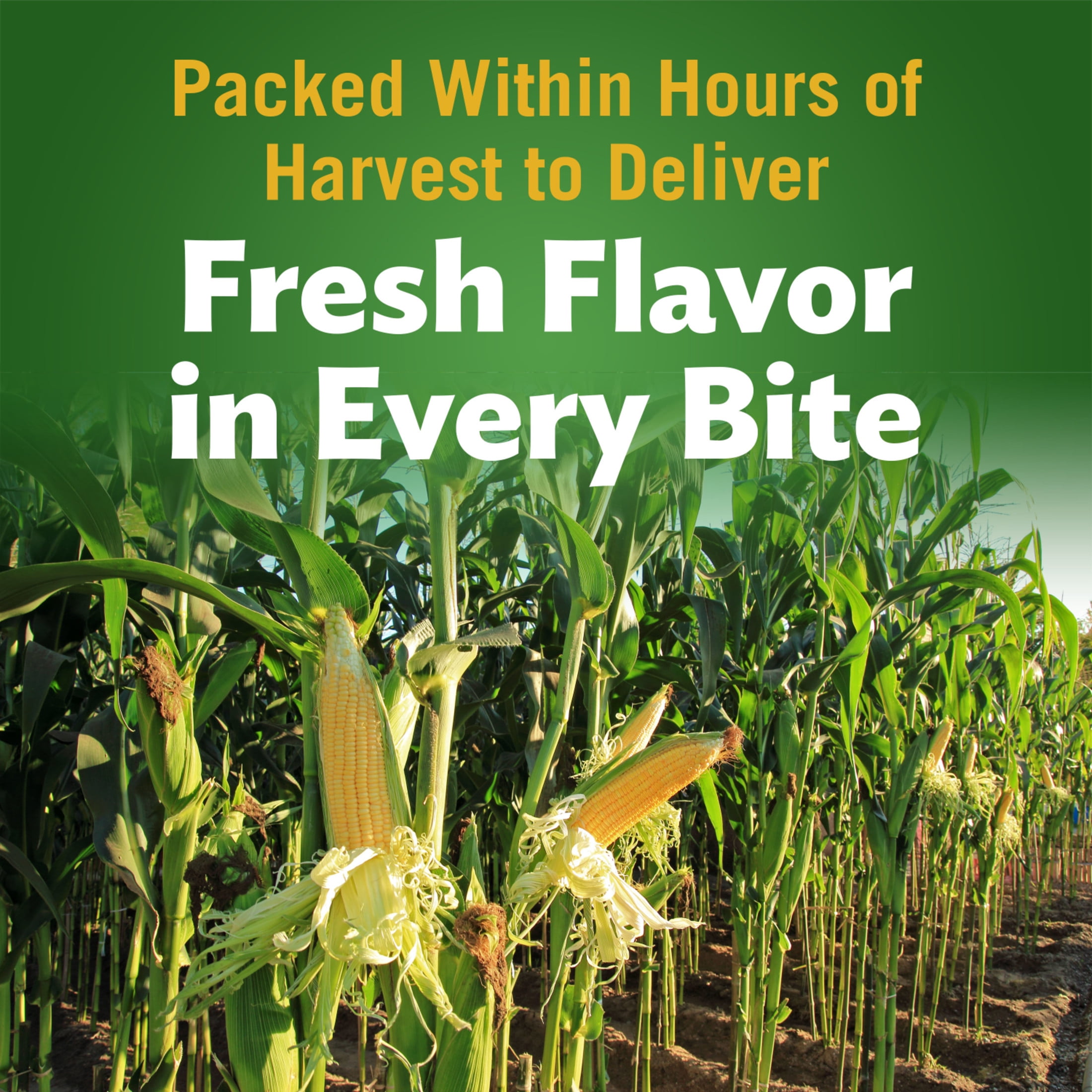 (12 pack) Del Monte Fire Roasted Whole Kernel Corn, Canned Vegetables, 14.75 oz Can