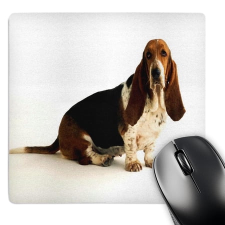 3dRose  Handsome Basset Hound  MousePad price history on PriceWatchPro